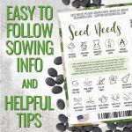 Seed Needs Luffa Seeds for Planting Loofah Sponge Gourds - Non-GMO Heirloom & Untreated Veggie Seed to Plant a Home Grown Outdoor Vegetable Garden (1 Pack)