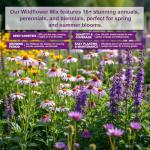 200,000+ Wildflower Seeds [4oz] 16 Variety Perennial Mix - Non-GMO, USA-Sourced Heirloom Seeds for Pollinator Gardens | Attracts Bees/Birds/Butterflies | High Germination Rate for Indoor & Outdoor