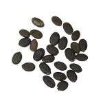 Seed Needs Luffa Seeds for Planting Loofah Sponge Gourds - Non-GMO Heirloom & Untreated Veggie Seed to Plant a Home Grown Outdoor Vegetable Garden (1 Pack)