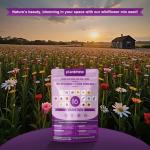 200,000+ Wildflower Seeds [4oz] 16 Variety Perennial Mix - Non-GMO, USA-Sourced Heirloom Seeds for Pollinator Gardens | Attracts Bees/Birds/Butterflies | High Germination Rate for Indoor & Outdoor