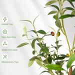 LuceAlberi 6FT Artificial Olive Tree - Indoor Tall Faux Olive Trees with Planter&Basket, Large Fake Olive Silk Tree Realistic Olive Plants with Branches and Fruits for Home Decor Office Living Room