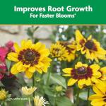 Miracle-Gro Quick Start Planting and Transplant Starting Solution, For Flower and Vegetable Plants, Concentrate Mix with Water, 48 oz.