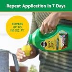 Miracle-Gro Quick Start Planting and Transplant Starting Solution, For Flower and Vegetable Plants, Concentrate Mix with Water, 48 oz.