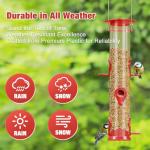 ERYTLLY 2 Pack Bird Feeders for Outdoors Hanging with 6 Feeding Ports Extra Thick Solid Tube Transparent Weatherproof Water Resistant Great for Attracting Birds Garden