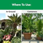 Miracle-Gro Shake 'N Feed Palm Plant Food, For Container and In-Ground Plants, Palm Trees, Cycads and Tropical Plants, 4.5 lbs.