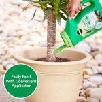 Miracle-Gro Shake 'N Feed Palm Plant Food, For Container and In-Ground Plants, Palm Trees, Cycads and Tropical Plants, 4.5 lbs.