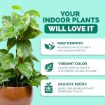 Indoor Plant Food - Liquid Fertilizer for Indoor Plants & Potted Houseplants, by TPS Plant Foods, 8 oz (250 mL)