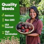 HOME GROWN Non GMO Cherokee Purple Tomato Seeds 1 Pack (Solanum lycopersicum) - 106 Seeds, Tomato for Planting - Heirloom Vegetable Seeds with High Germination Rate