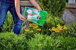 Miracle-Gro Shake 'N Feed Flowering Trees and Shrubs Plant Food, For In-Ground and Container Plants, Acid-Loving Flowering Plants, 8 lbs.