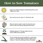 Burpee 'Celebrity' Hybrid Red Tomato Slicer 35 Non-GMO Seeds for Planting Disease-Resistant and Award-Winning Variety Big Juicy Tomato for Summer Sandwiches