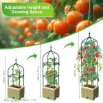 Raised Garden Bed Planter Box with Trellis, 71" Self-Watering Tomato Planter with Wheels for Climbing Vegetable and Plants, Tomato Cage Planters for Indoor Outdoor Patio Greenhouse Gardening (1Pack)
