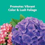 Miracle-Gro Shake 'N Feed Flowering Trees and Shrubs Plant Food, For In-Ground and Container Plants, Acid-Loving Flowering Plants, 8 lbs.