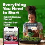 HOME GROWN Non GMO Cherokee Purple Tomato Seeds 1 Pack (Solanum lycopersicum) - 106 Seeds, Tomato for Planting - Heirloom Vegetable Seeds with High Germination Rate