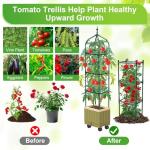 Raised Garden Bed Planter Box with Trellis, 71" Self-Watering Tomato Planter with Wheels for Climbing Vegetable and Plants, Tomato Cage Planters for Indoor Outdoor Patio Greenhouse Gardening (1Pack)