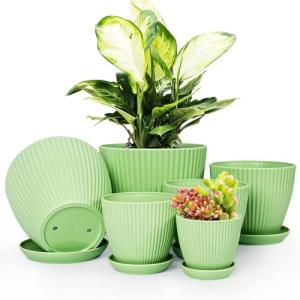 Vodotion - Plant Pots Indoor with Saucers & Drainage - 6 Pack Flower Pots - Plastic Planters for Indoor Planter - 7.5/6.6/5.8/5.0/4.3/3.5 inches Sizes for All Different Types of Plants-Light Green