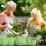 Vodotion - Plant Pots Indoor with Saucers & Drainage - 6 Pack Flower Pots - Plastic Planters for Indoor Planter - 7.5/6.6/5.8/5.0/4.3/3.5 inches Sizes for All Different Types of Plants-Light Green