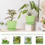 Vodotion - Plant Pots Indoor with Saucers & Drainage - 6 Pack Flower Pots - Plastic Planters for Indoor Planter - 7.5/6.6/5.8/5.0/4.3/3.5 inches Sizes for All Different Types of Plants-Light Green