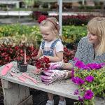 Melphoe 25Pcs Mini Garden Hand Transplanting Succulent Tools Set, 39.4" Thickened Repotting Mat & Plant Tag, Miniature Planting Indoor Fairy Care, Potting, Cactus, Houseplant Bonsai Tool Kit (Pink)