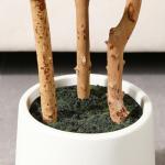 OAKRED Artificial Fiddle Leaf Fig Tree with White Planter,5ft Tall Fake Tree with Natural Wood Trunk for Home Decor, Faux Ficus Tree Fake Moss for Indoor Office Living Room