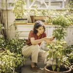 Fiskars 6" Pruning Scissors for Flowers, Buds, Weeds and Small Plants, Garden Snips with Resin Resistant Nonstick Stainless Steel Blades, Gardening Trimmers with Comfortable Handle