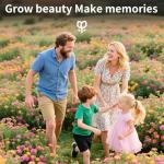 600 Lantana Flower Seeds – Colorful Perennial Seeds | Drought-Tolerant, Easy to Grow & Long-Blooming | Attracts Butterflies & Hummingbirds (600 Lantana Flower Seeds)