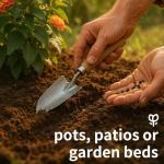 600 Lantana Flower Seeds – Colorful Perennial Seeds | Drought-Tolerant, Easy to Grow & Long-Blooming | Attracts Butterflies & Hummingbirds (600 Lantana Flower Seeds)