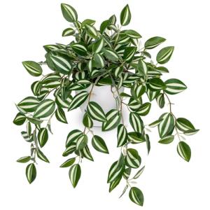 Briful Fake Plants Indoor Artificial Potted Silk Plants Faux Watermelon Peperomia Cascading Vine Plant for Home Office Livingroom Desk Shelf Mantle Decoration(Green/White - 1 Pack)