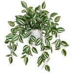 Briful Fake Plants Indoor Artificial Potted Silk Plants Faux Watermelon Peperomia Cascading Vine Plant for Home Office Livingroom Desk Shelf Mantle Decoration(Green/White - 1 Pack)