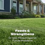 Scotts Turf Builder Lawn Food - Fertilizer for All Grass Types, 15,000 sq. ft., 37.50 lbs.