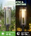 8 Pack Solar Pathway Lights for Your Garden