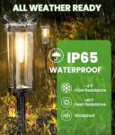 8 Pack Solar Pathway Lights for Your Garden