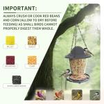 Small Bird Feeder - Durable Plastic Design, Easy Fill & Clean, Attracts Finches & Songbirds, Great for Outdoor Use in Yards, Porches and Decks
