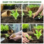 INCIKITI 40Pcs 3.15 Inch Peat Pots, Biodegradable Eco-Friendly Round Plant Seedling Starters Kit, Seed Germination Trays with 10 Labels for Flower Vegetable Tomato Saplings & Herb Germination, Khaki