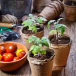 ARGCONNER Peat Pots for Seedlings 3.15 Inch, Biodegradable Round Seed Starter Pots with 10 Plant Labels for Garden Germination, Nursery Pot with Drainage Holes (40 Pack/3.15 Inch)