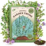 Organic Thyme Herb Seeds for Indoors or Outdoors