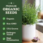 Organic Thyme Herb Seeds for Indoors or Outdoors