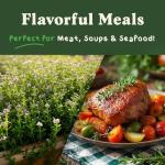 Organic Thyme Herb Seeds for Indoors or Outdoors