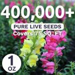 Snapdragon Fairy Bouquet Blend – Large 1 Ounce Seed Packet – 400,000 Flower Seeds for Planting – Lineria