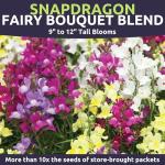 Snapdragon Fairy Bouquet Blend – Large 1 Ounce Seed Packet – 400,000 Flower Seeds for Planting – Lineria