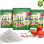 Organic Dolomite Lime for Garden Soil pH Balance