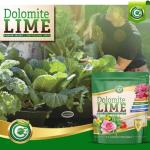 Organic Dolomite Lime for Garden Soil pH Balance
