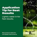 Scotts Green Max Lawn Food - Lawn Fertilizer for Grass Plus Iron Supplement, 10,000 sq. ft., 33.33 lbs.