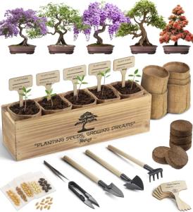 AVERGO Bonsai Tree Kit – Grow 5 Unique Varieties