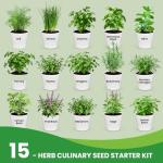 Herb Seeds Variety Pack – Fruivity 12800+ 15 in 1 Heirloom Seed Kits for Indoor/Outdoor Planting | Herb Indoor Garden Kit Starter - Complete Herb Garden Starter Set with Gift Packaging for Family