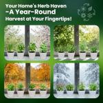 Herb Seeds Variety Pack – Fruivity 12800+ 15 in 1 Heirloom Seed Kits for Indoor/Outdoor Planting | Herb Indoor Garden Kit Starter - Complete Herb Garden Starter Set with Gift Packaging for Family