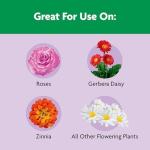 Miracle-Gro Shake 'N Feed Rose & Bloom Plant Food