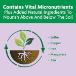 Miracle-Gro Shake 'N Feed Rose & Bloom Plant Food