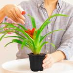 Woozettn 120 Packs Flexible Plastic Nursery Pots,4 Inch Thickened Soft Plastic Pots with Drainage Holes,Garden Seedling Pot for Succulents,Transplanting,Cuttings(Black)