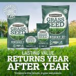 Kentucky 31 Tall Fescue Grass Seed 3 lbs