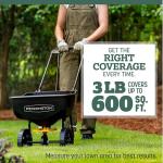 Kentucky 31 Tall Fescue Grass Seed 3 lbs